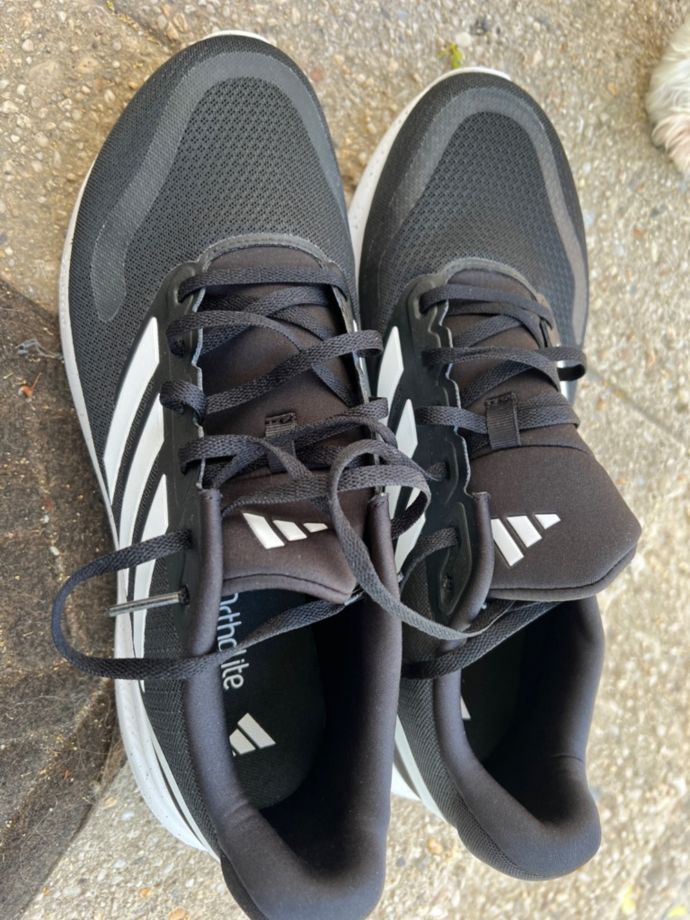 adidas Men’s Black and White Athletic Sneakers
